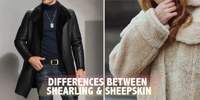 Compare Between Sheepskin And Shearling Compare Between Sheepskin And Shearling