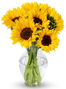 7 Stem Yellow Sunflowers Bouquets With Vase